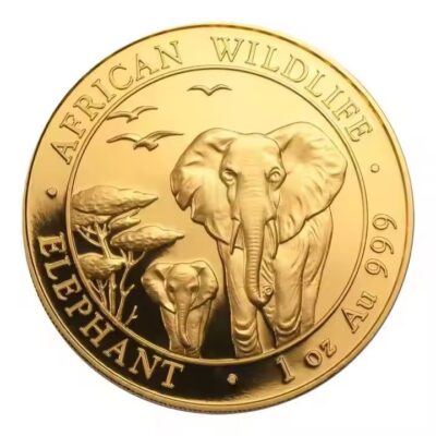 Custom 3D double-sided commemorative metal coin with intricate detail