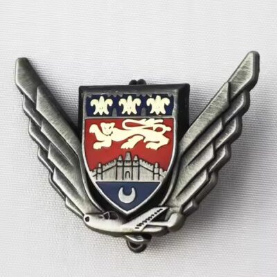 Custom Nickel Hard Enamel Carnival Badge
