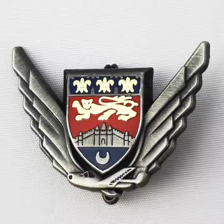Custom Nickel Hard Enamel Carnival Badge