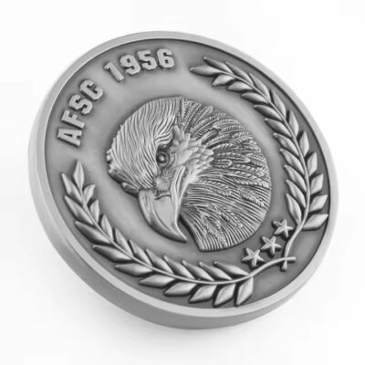 Custom 3D brass enamel coin with colored metal detailing